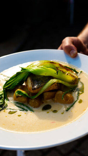 kings arms pub interior and food shaftesbury